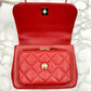 CHANEL caviar skin 2way shoulder bag