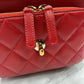 CHANEL caviar skin 2way shoulder bag