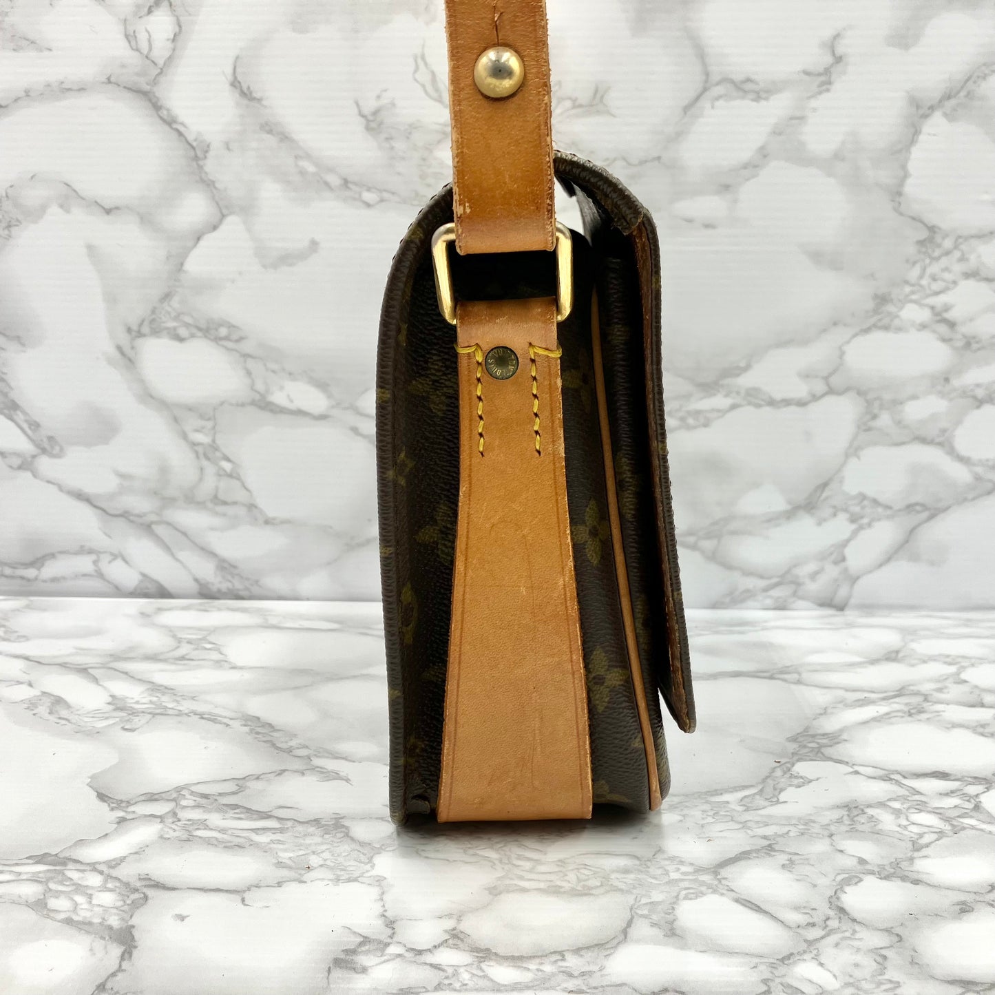 LOUIS VUITTON Monogram Cartesier