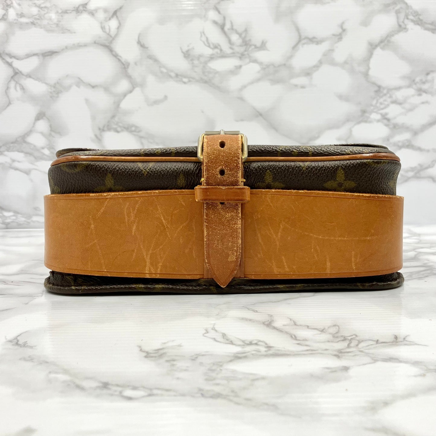 LOUIS VUITTON Monogram Cartesier