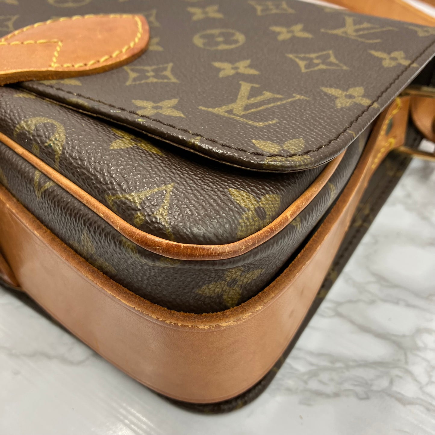 LOUIS VUITTON Monogram Cartesier