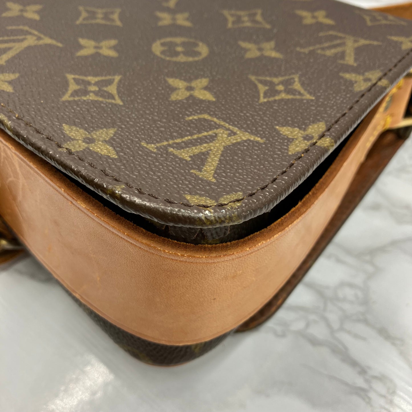 LOUIS VUITTON Monogram Cartesier