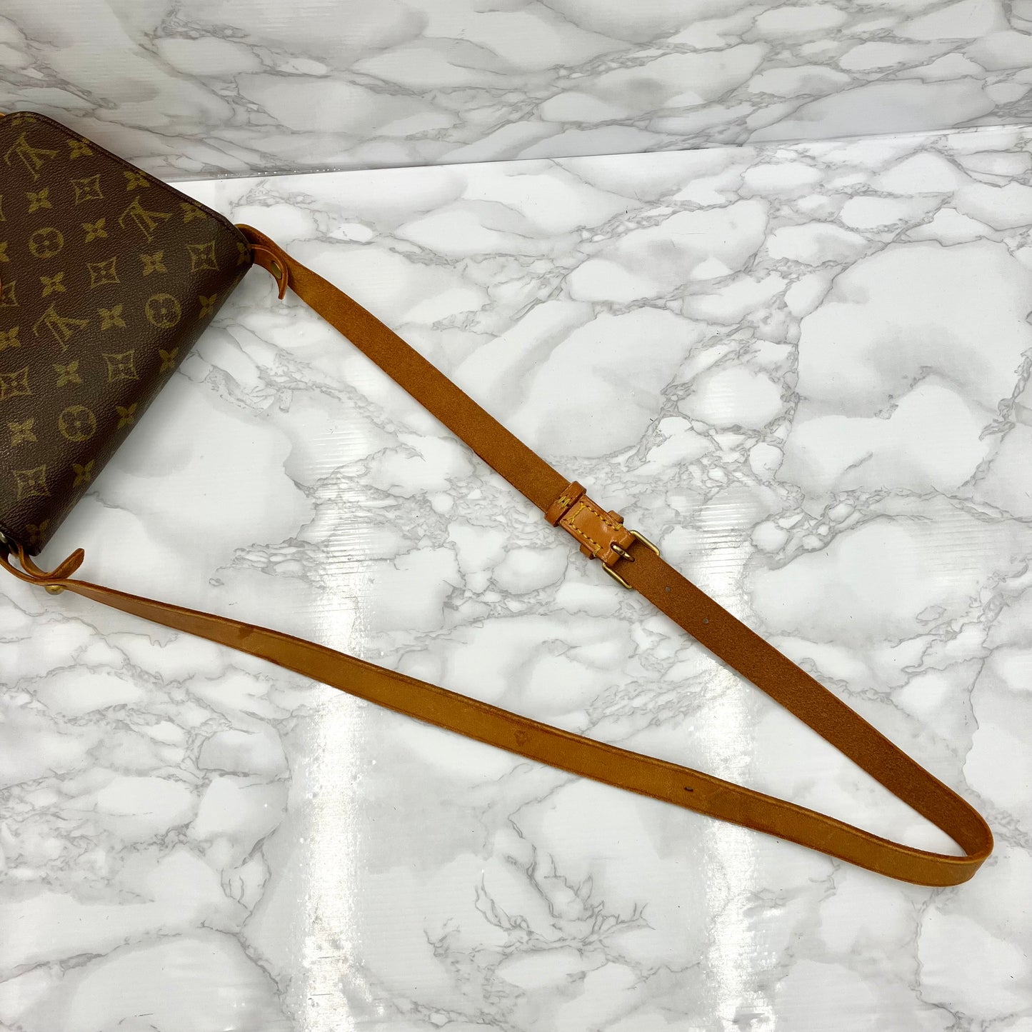 LOUIS VUITTON Monogram Cartesier