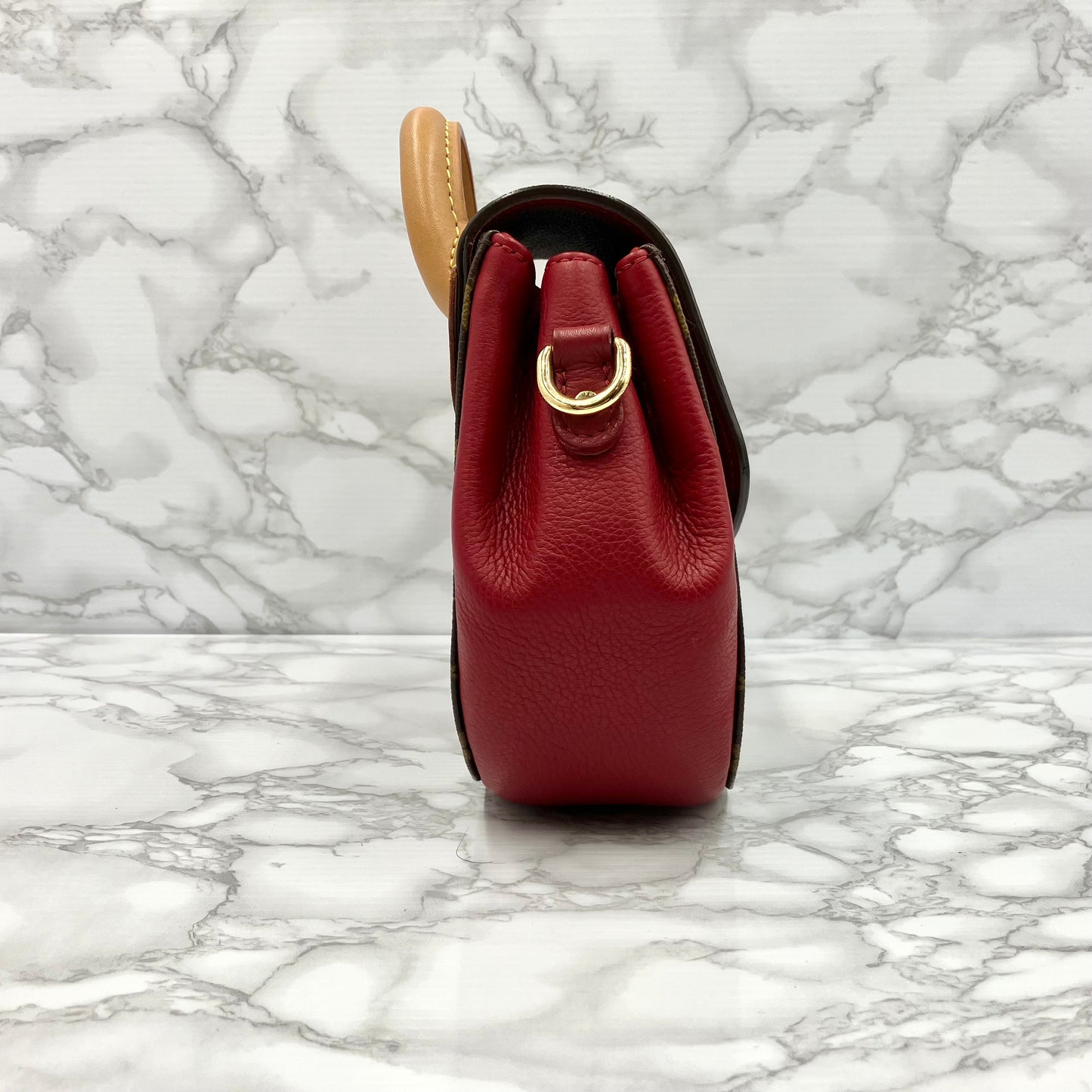 LOUIS VUITTON Monogram Eden PM