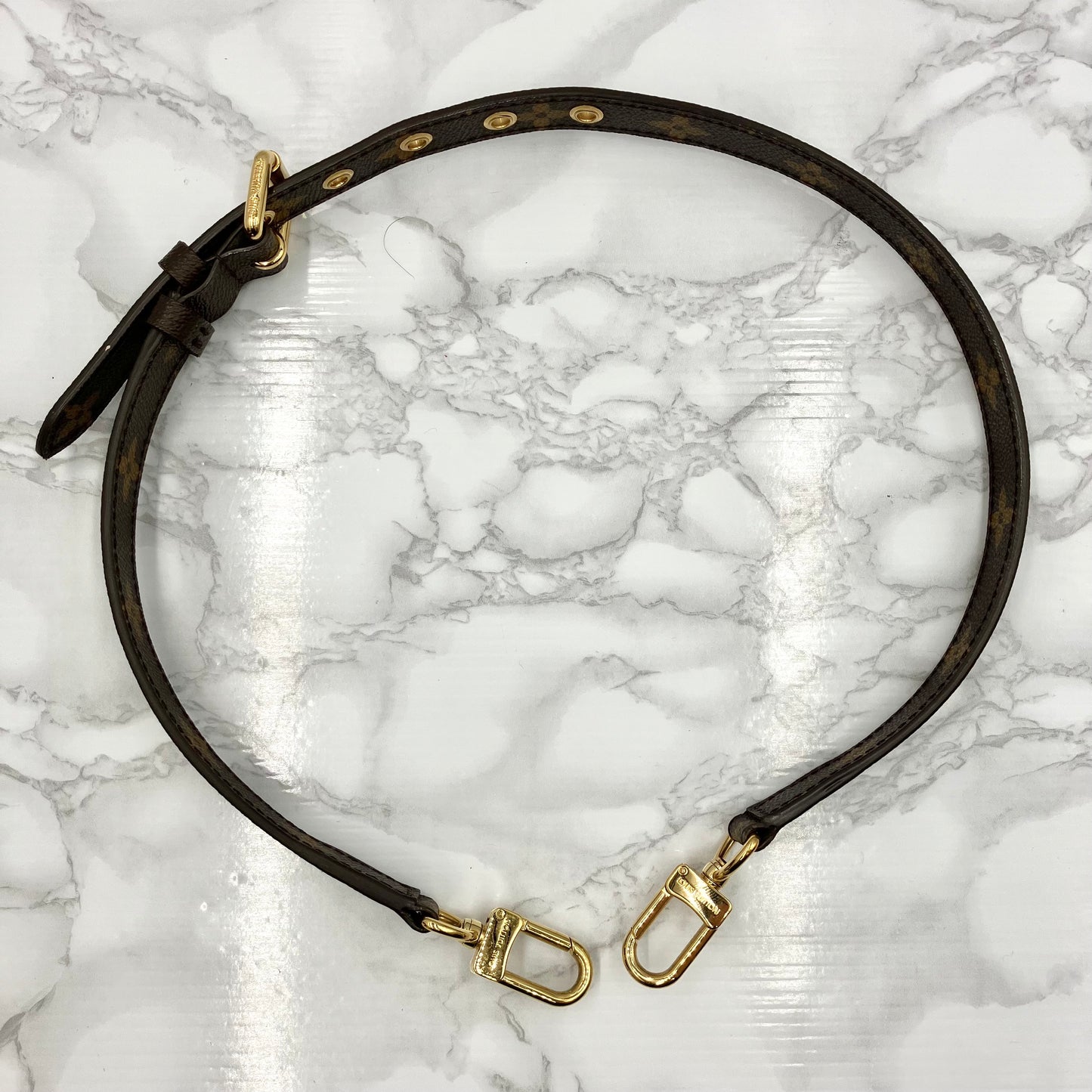 LOUIS VUITTON Monogram Eden PM