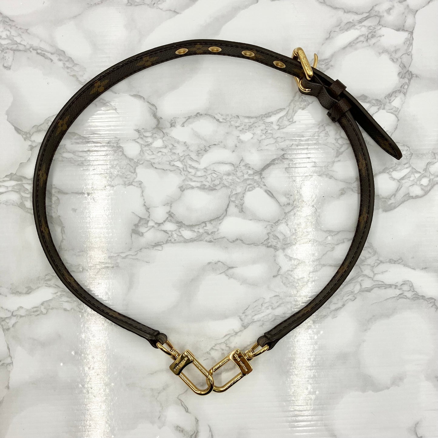 LOUIS VUITTON Monogram Eden PM