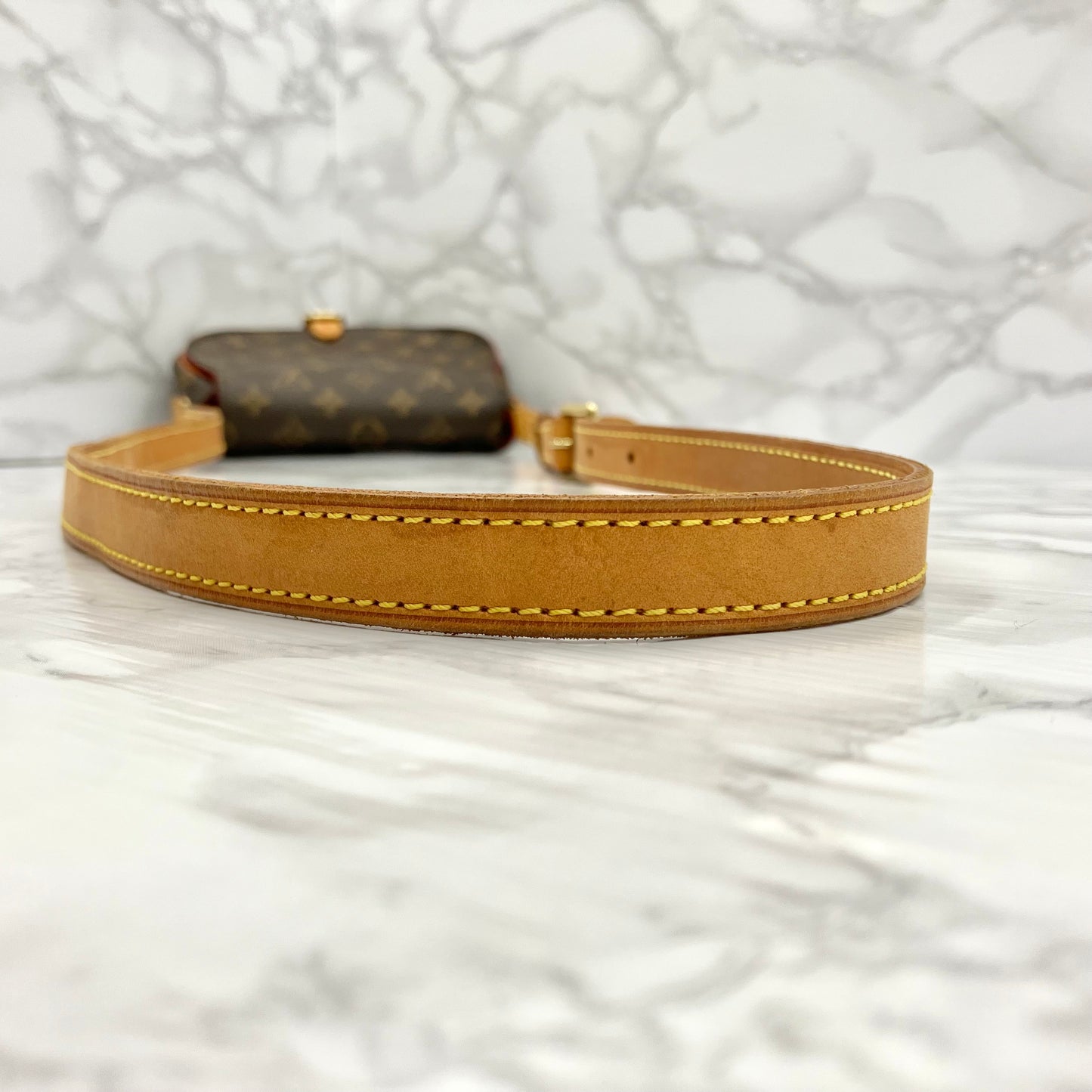 LOUIS VUITTON Monogram Tamburan