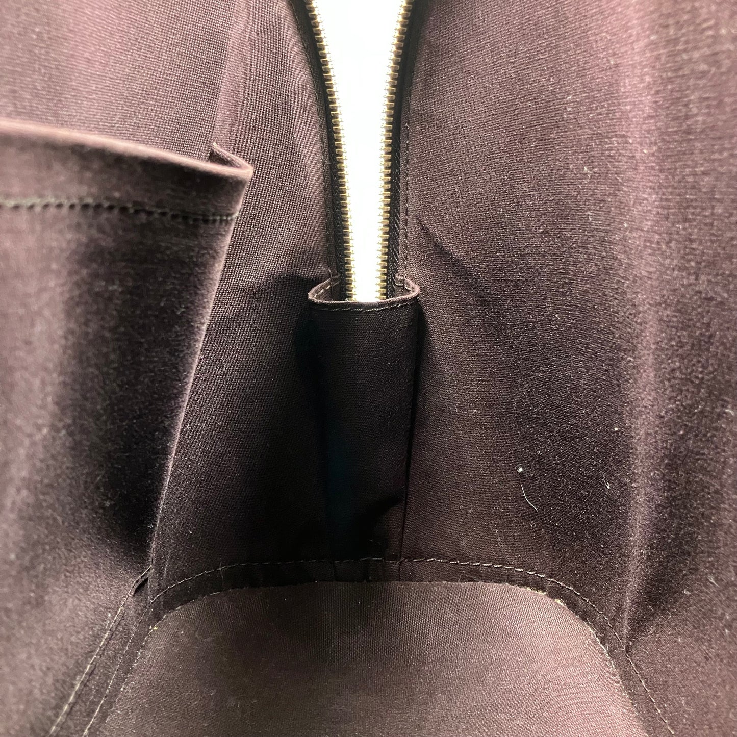 LOUIS VUITTON Vernis Alma PM