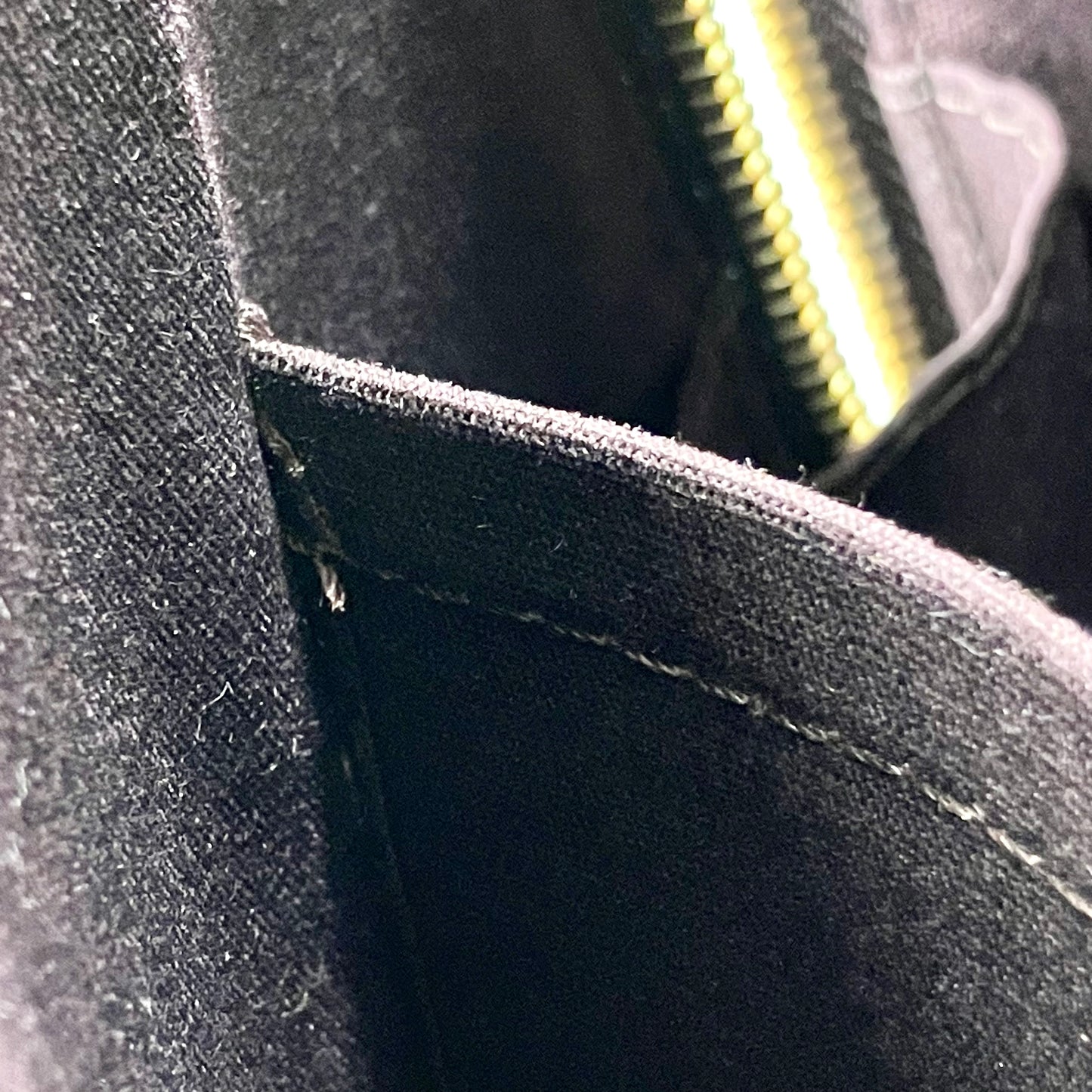 LOUIS VUITTON Vernis Alma PM