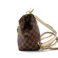 LOUIS VUITTON Damier Clapton Backpack Leather Brown×Beige