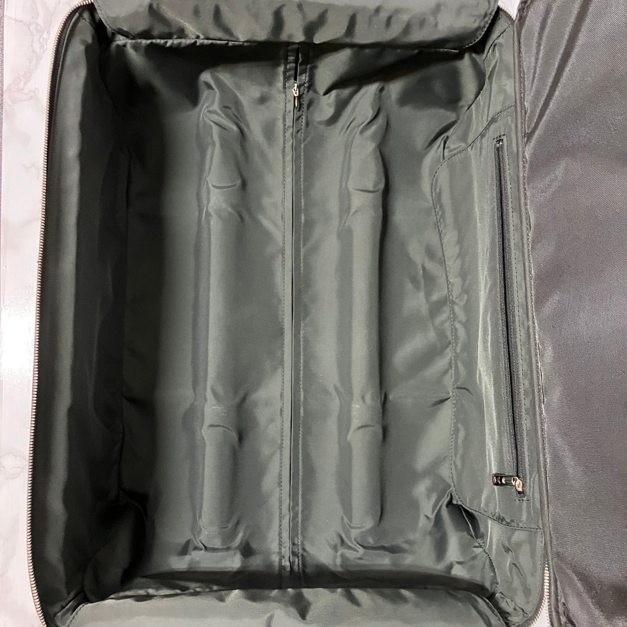 LOUIS VUITTON Graphite Pegas Carry on size