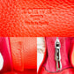 Loewe Amazona Handbag Red