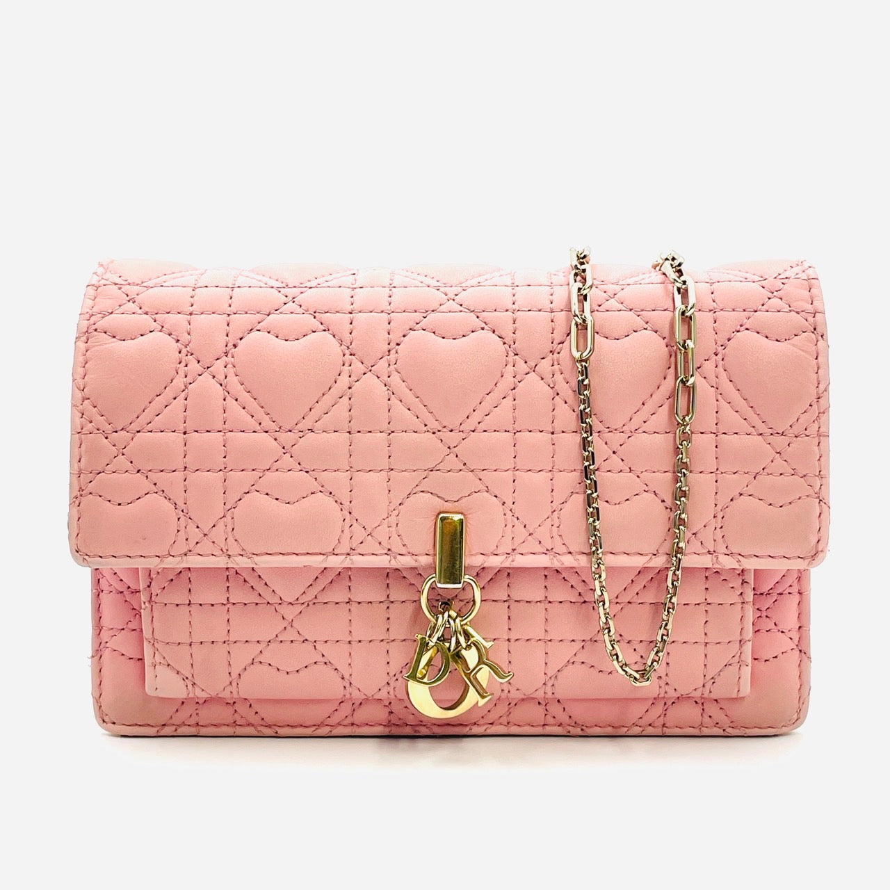 Christian Dior Leather Pink WOC