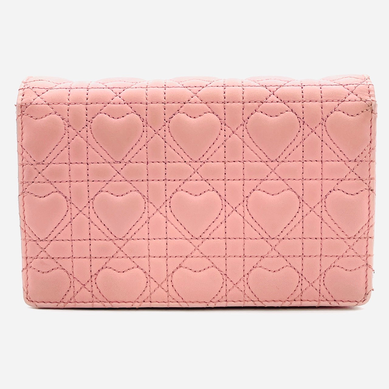 Christian Dior Leather Pink WOC