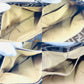 FENDI Zucca Canvas Gold Chain Hand Bag