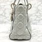 Christian Dior 2way Canage Lady Dior