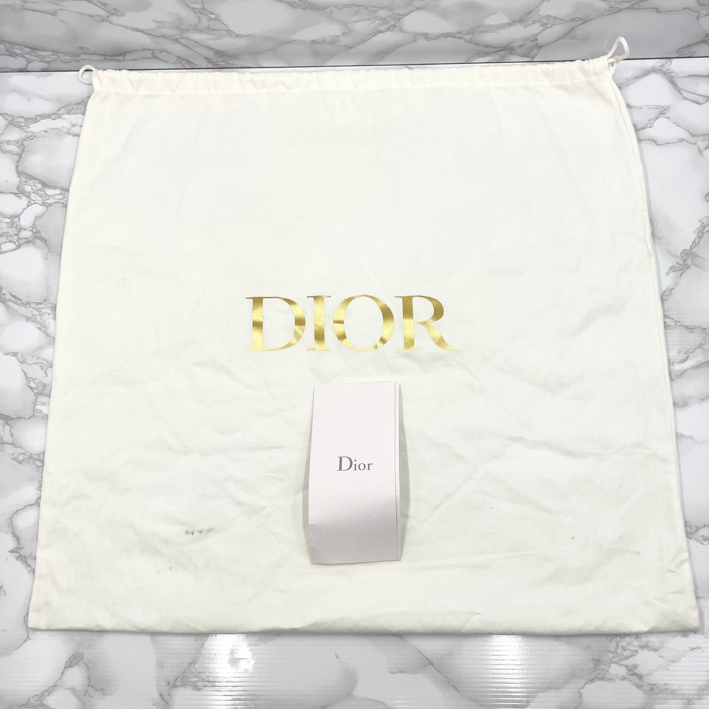 Christian Dior Trotter Book Tote