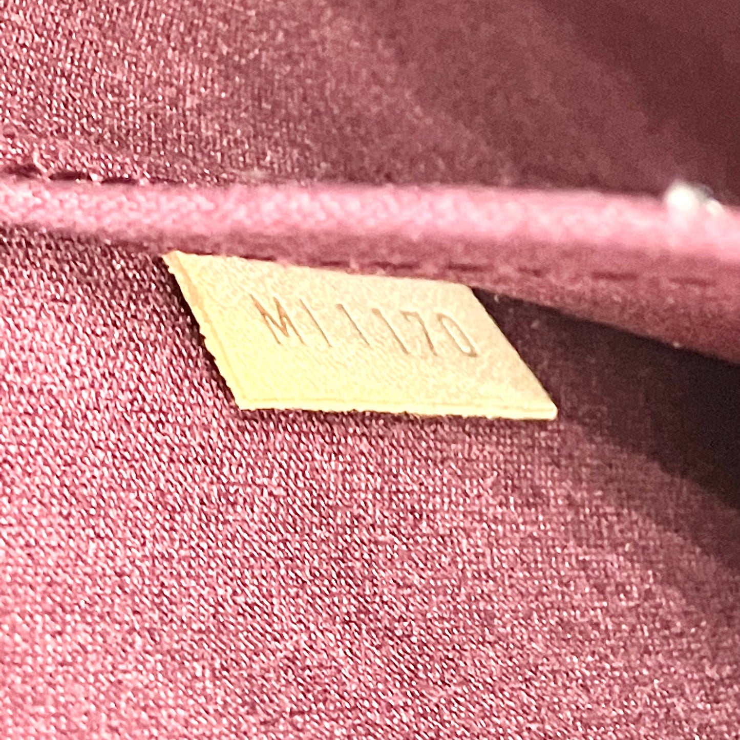 LOUIS VUITTON Vernis Alma MM