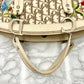 Christian Dior Trotter Handbag