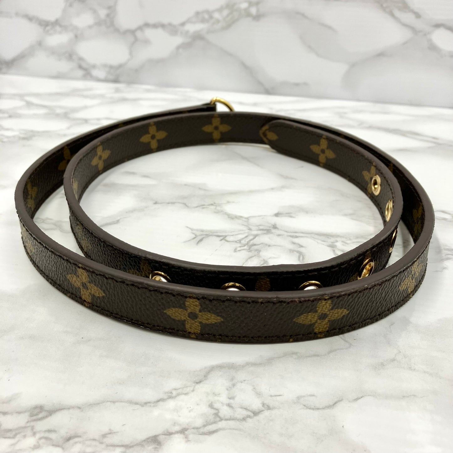 LOUIS VUITTON Monogram Metis