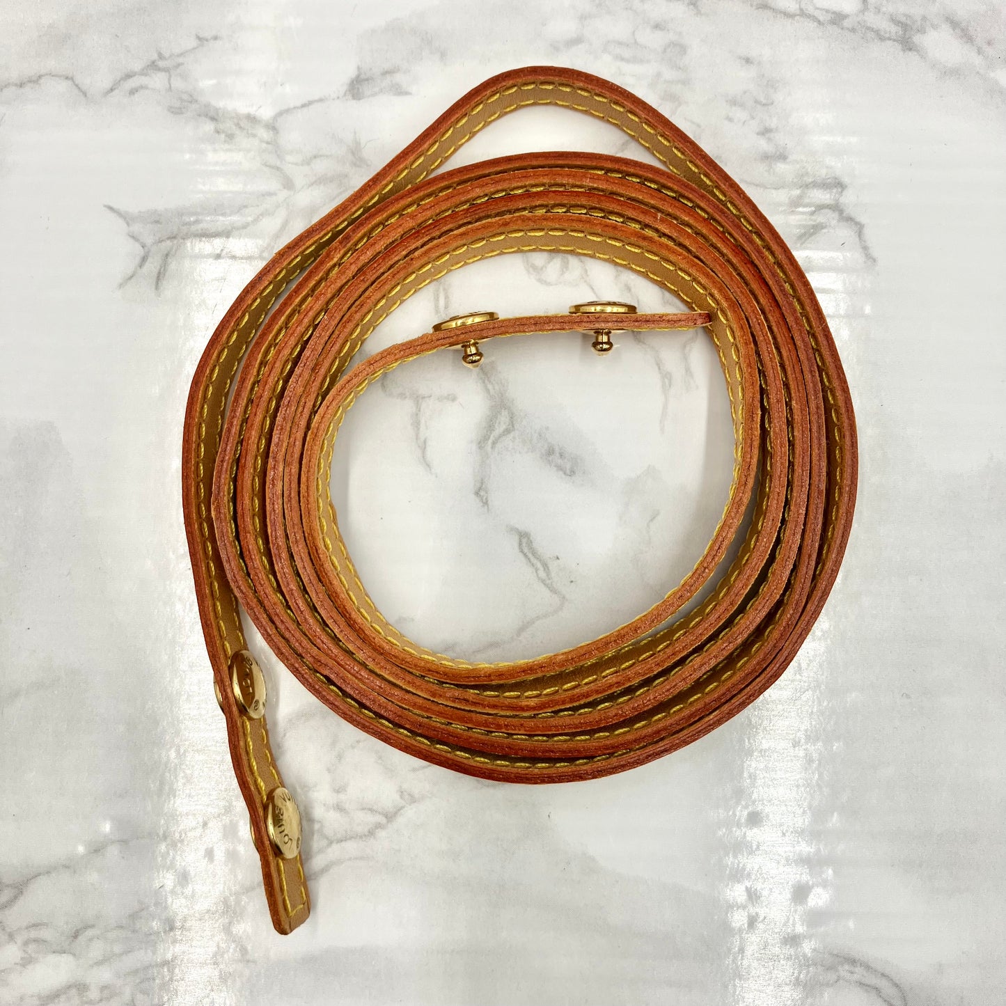 LOUIS VUITTON Monogram Pochette Twin GM